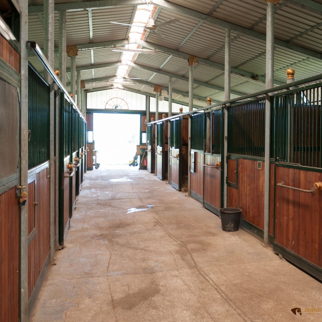 Waar moet een goede sportstal aan voldoen?